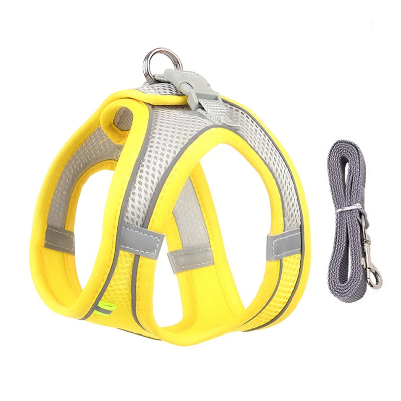 Adjustable Dog Harness & Leash Set - Small Dogs