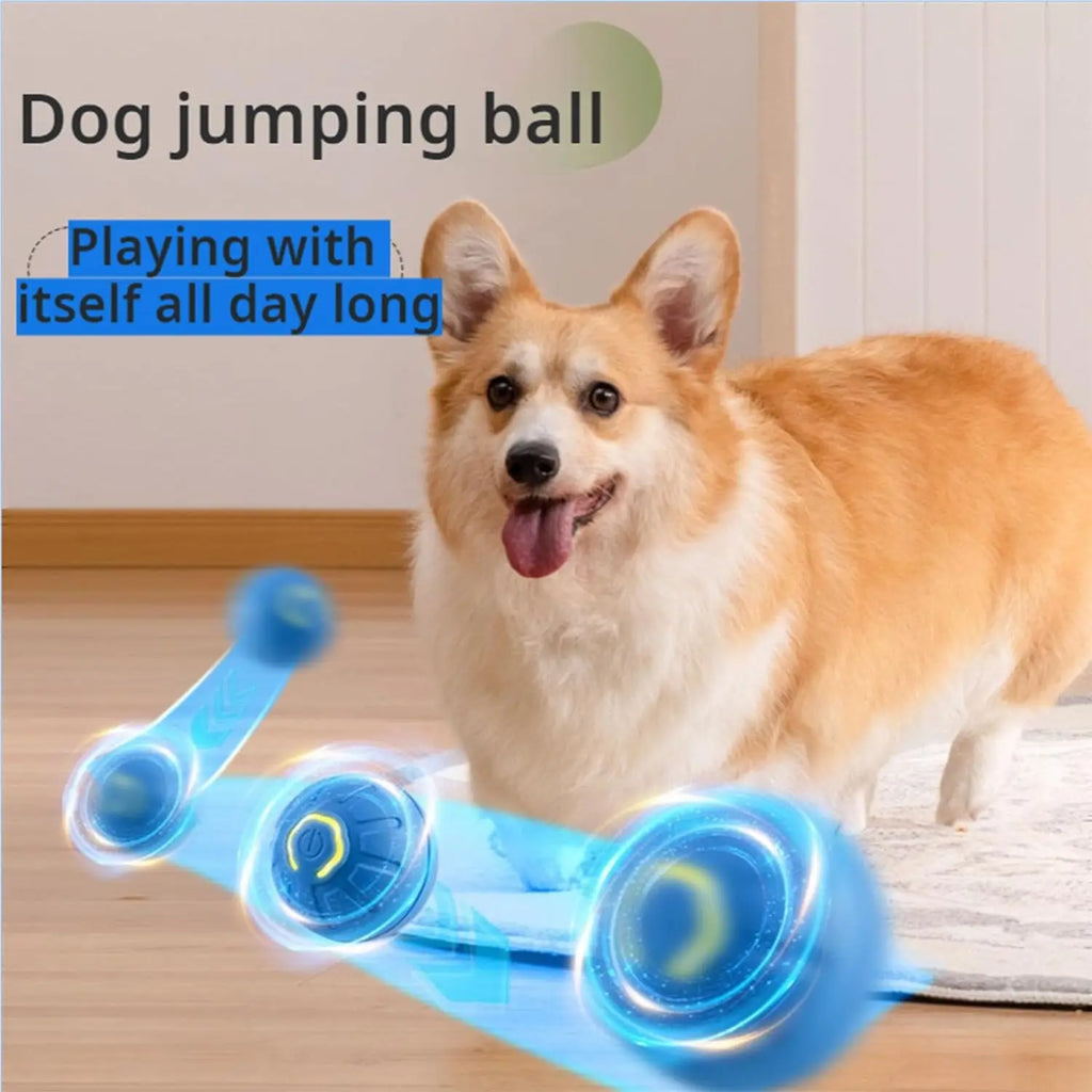 Interactive Dog Ball - Automatic Bouncing Toy