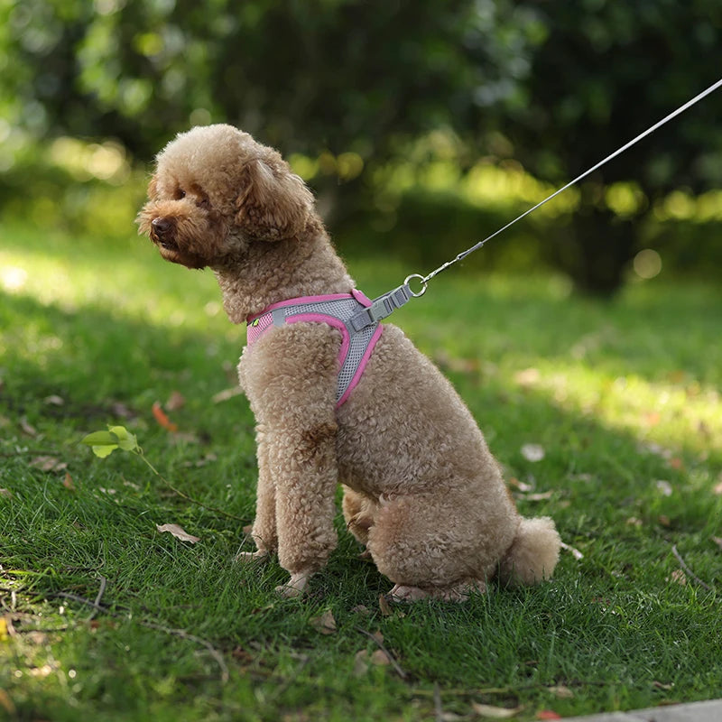 Adjustable Dog Harness & Leash Set - Small Dogs