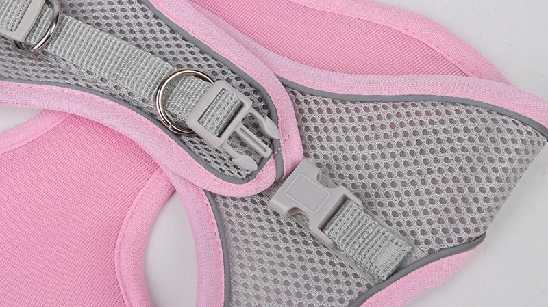 Adjustable Dog Harness & Leash Set - Small Dogs