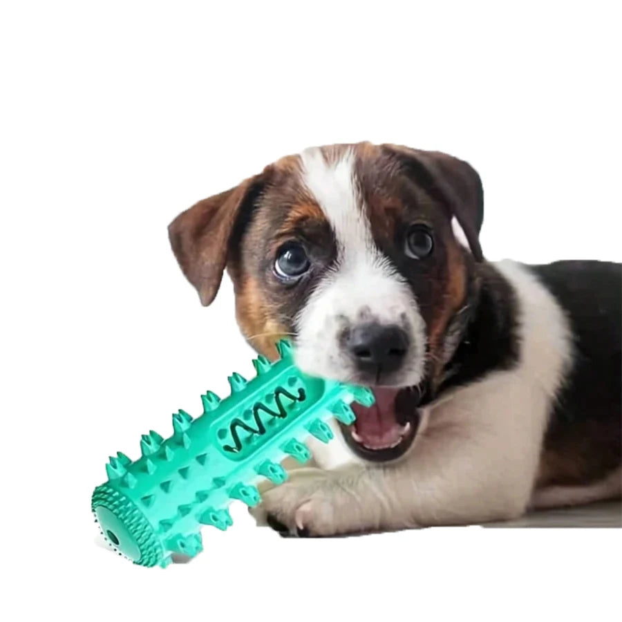 Dental Chew Toy - Tartar Prevention for Dogs