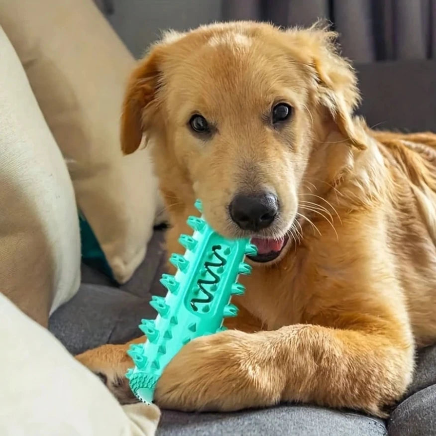 Dental Chew Toy - Tartar Prevention for Dogs
