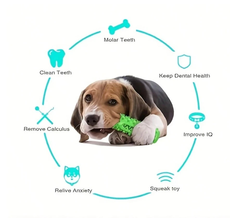 Dental Chew Toy - Tartar Prevention for Dogs