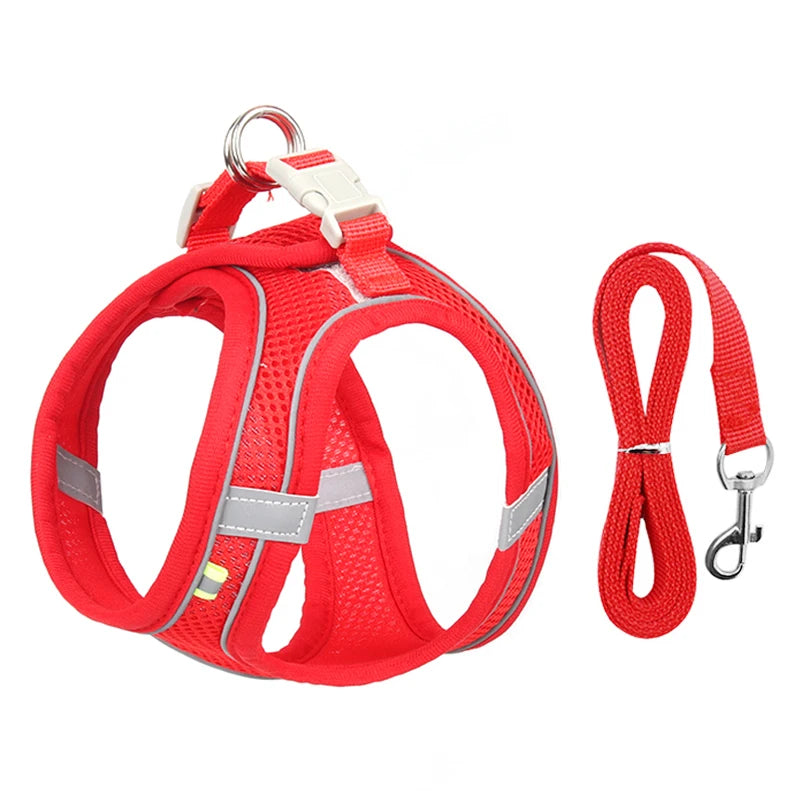 Adjustable Dog Harness & Leash Set - Small Dogs