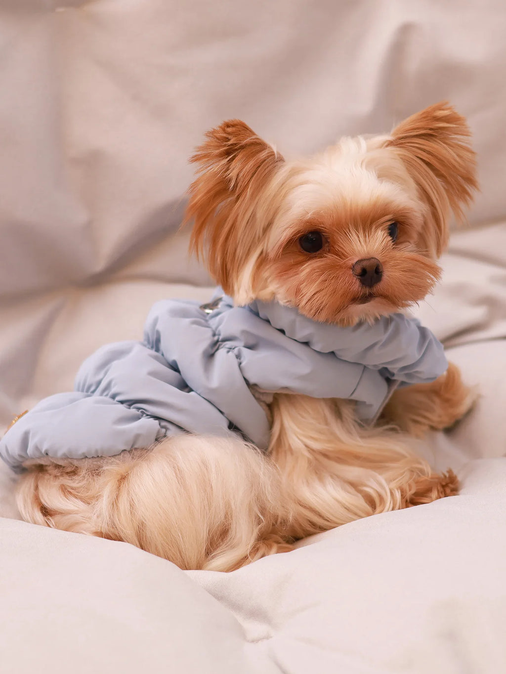 Warm Dog Winter Coat - 3-Layer Insulated Jacket