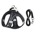 Adjustable Dog Harness & Leash Set - Small Dogs