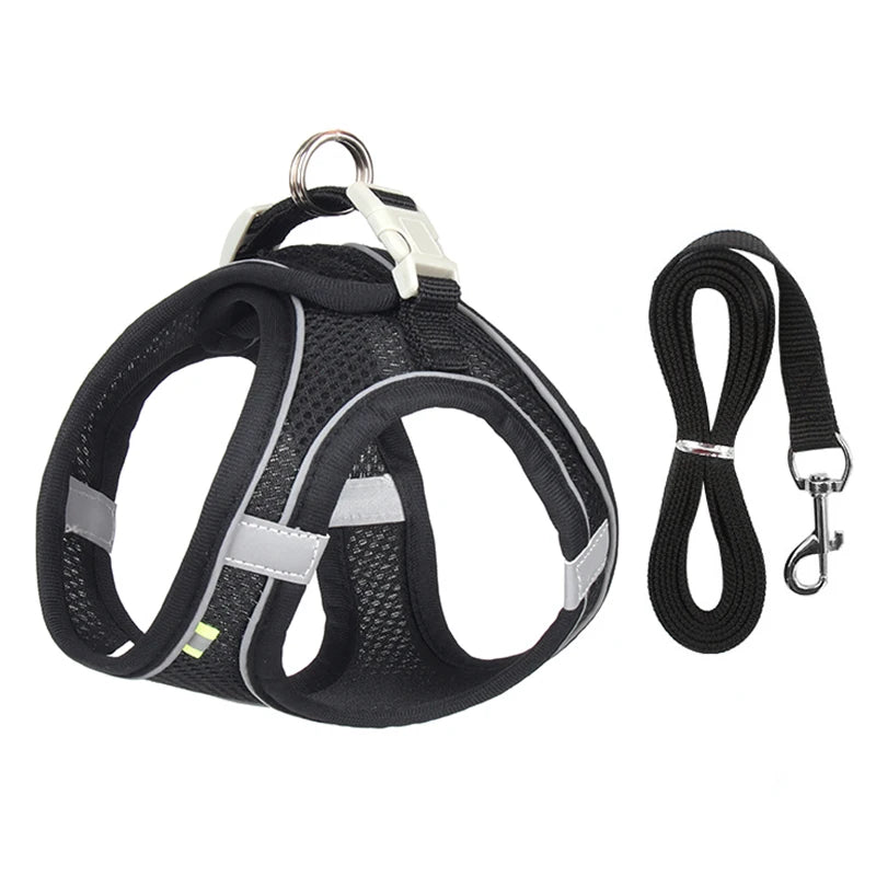 Adjustable Dog Harness & Leash Set - Small Dogs