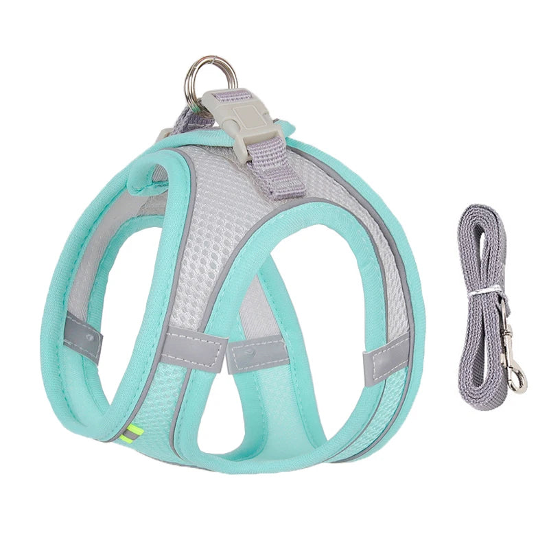 Adjustable Dog Harness & Leash Set - Small Dogs