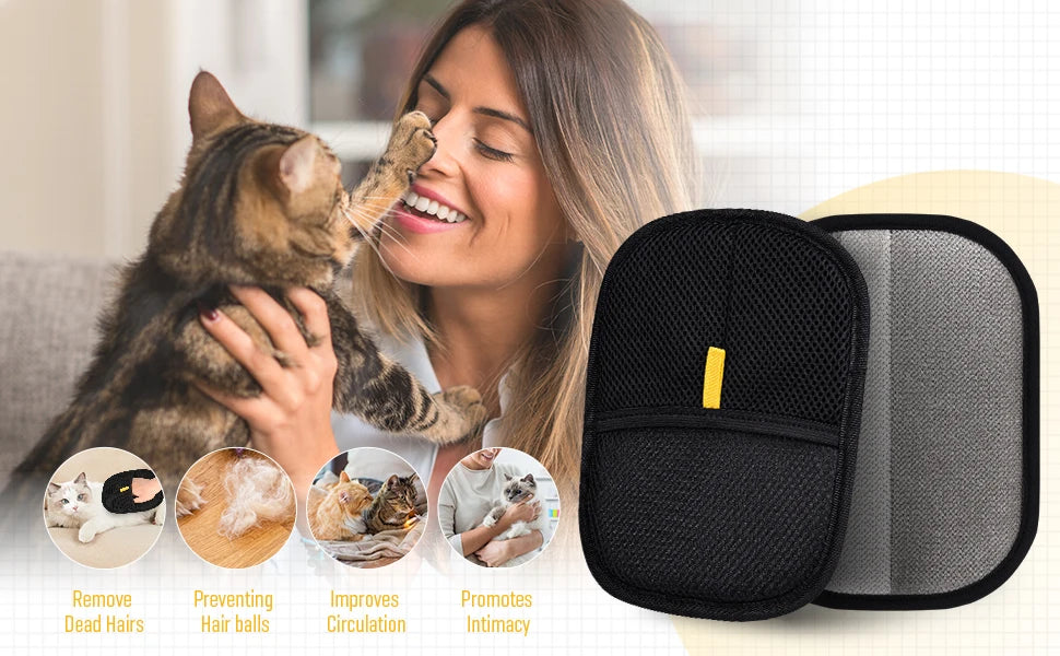 Interactive Cat Toy - Scratch Resistant Plush