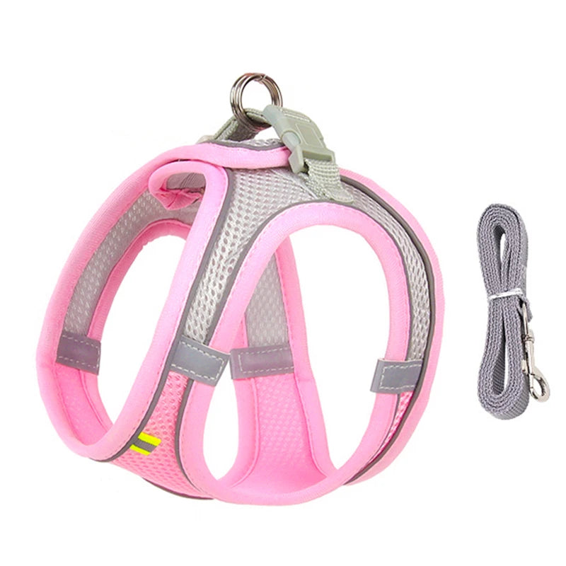 Adjustable Dog Harness & Leash Set - Small Dogs