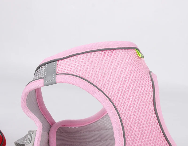 Adjustable Dog Harness & Leash Set - Small Dogs