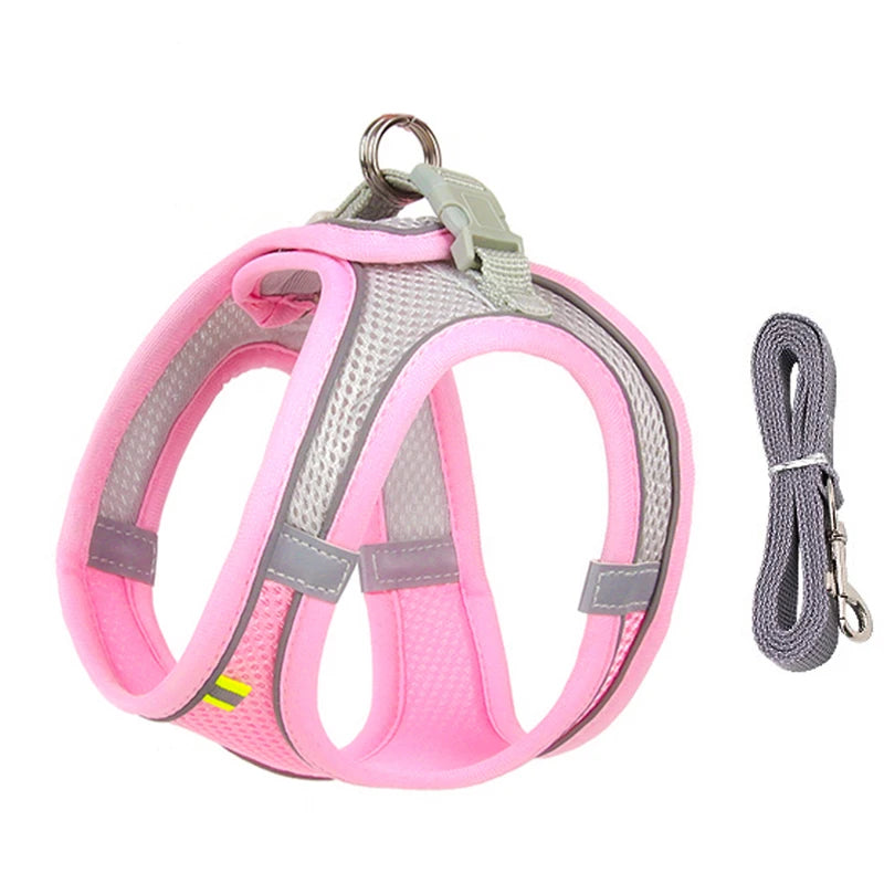 Adjustable Dog Harness & Leash Set - Small Dogs