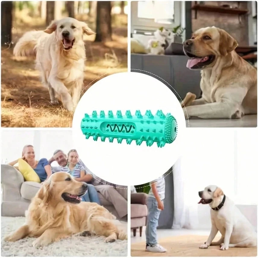 Dental Chew Toy - Tartar Prevention for Dogs