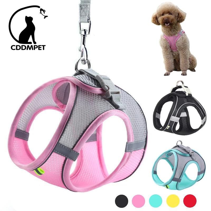 Adjustable Dog Harness & Leash Set - Small Dogs