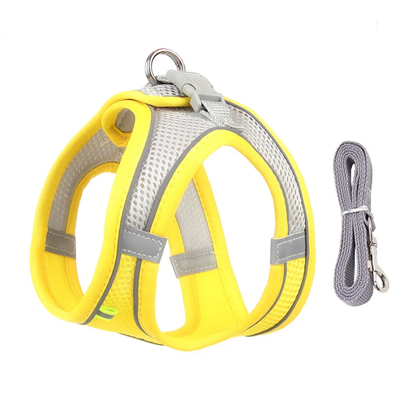 Adjustable Dog Harness & Leash Set - Small Dogs