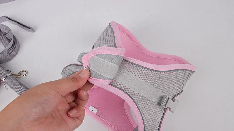 Adjustable Dog Harness & Leash Set - Small Dogs