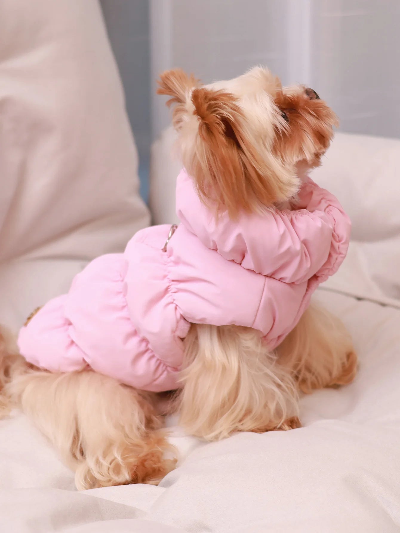 Warm Dog Winter Coat - 3-Layer Insulated Jacket